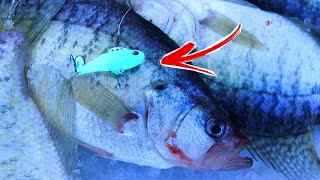 Crappie Can't Resist this Pre-Spawn Lure (Lipless Crankbait) by Flopping Crappie 3,766 views 1 year ago 10 minutes, 2 seconds