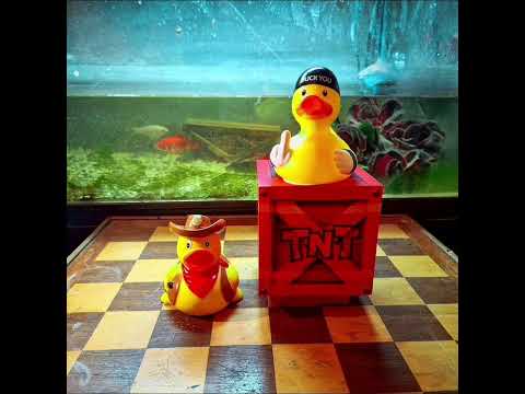 Kidd - Thieves In The Night
