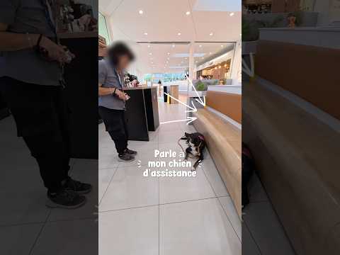 1. Problèmes de Création et de Connexion au Compte