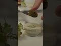 The Art of Dover Sole | Michelin Star Fine Dining at Hotel Adlon