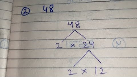 48 || How to find factors of 48 by factor tree method ?