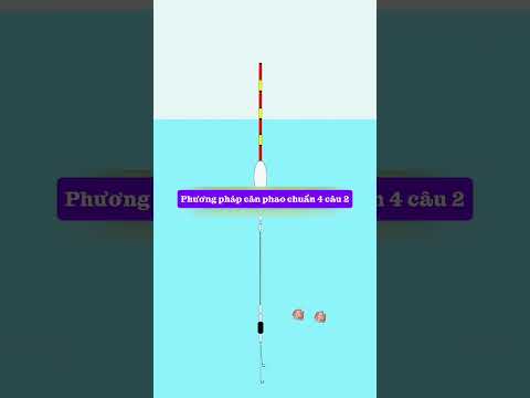 Phương pháp cân phao chuẩn 4 câu 2 hoicau.net