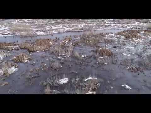 drone nature amazing Mentor Marsh in Northeast Ohio - Winter 2019