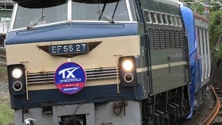 【TX新型登場】HM付EF66-27牽引！TX-3000系TX-3181F甲種輸送【4K】