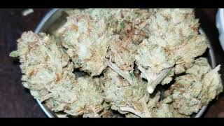 Why do I grow Medicinal Marijuana