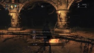 Bloodborne: The Ridiculous High-Level Onslaught Continues...