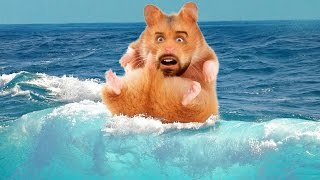 ХОМЯК НА ВОЛНЕ ХОМЯК НА ВОЛНЕ