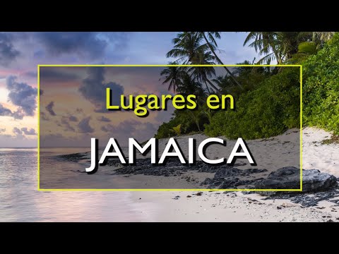 Video: Las mejores cosas para hacer en Jamaica