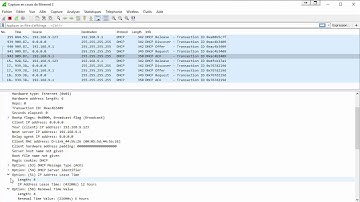 DHCP wireshark