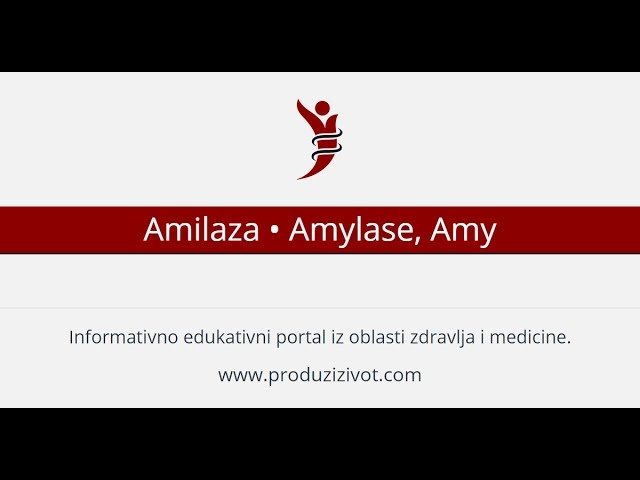 Amilaza • Amylase, Amy
