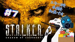 【S.T.A.L.K.E.R. SHADOW OF CHERNOBYL】多分、終わり #7【白流といち】