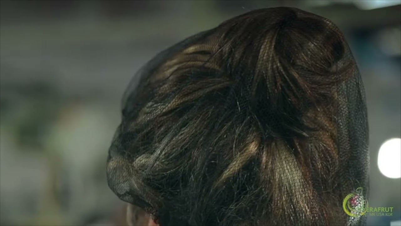 mexican lime journey