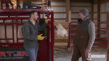 Safe Injection Practices for Cattle with Dr. Patrick Godfrey