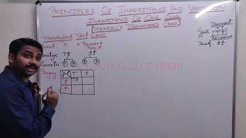 II PU BIOLOGY;Chapter-5;Principles of Inheritance & Variations;Part-5;Lecture by Mr. Sunil Chittal