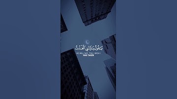 ويوم يعض الظالم على يديه | | عبد الباسط عبد الصمد كروما شاشة سوداء قرآن كريم #كرومات_قرآنQuran
