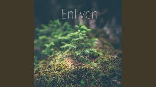 Enliven