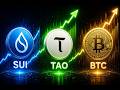 033 Update // Sui, TAO, BTC mega Chance !?