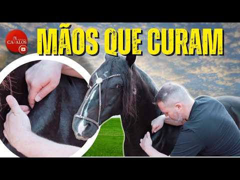 CAVALO ATLETA: POTÊNCIA E RENDIMENTO COM EBM EQUUS