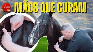 Horse athlete with more power, EBM EQUUS Biomechanical Balance through soft tissues screenshot 5