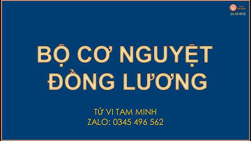 126- BỘ CƠ NGUYỆT ĐỒNG LƯƠNG| TỬ VI TAM MINH