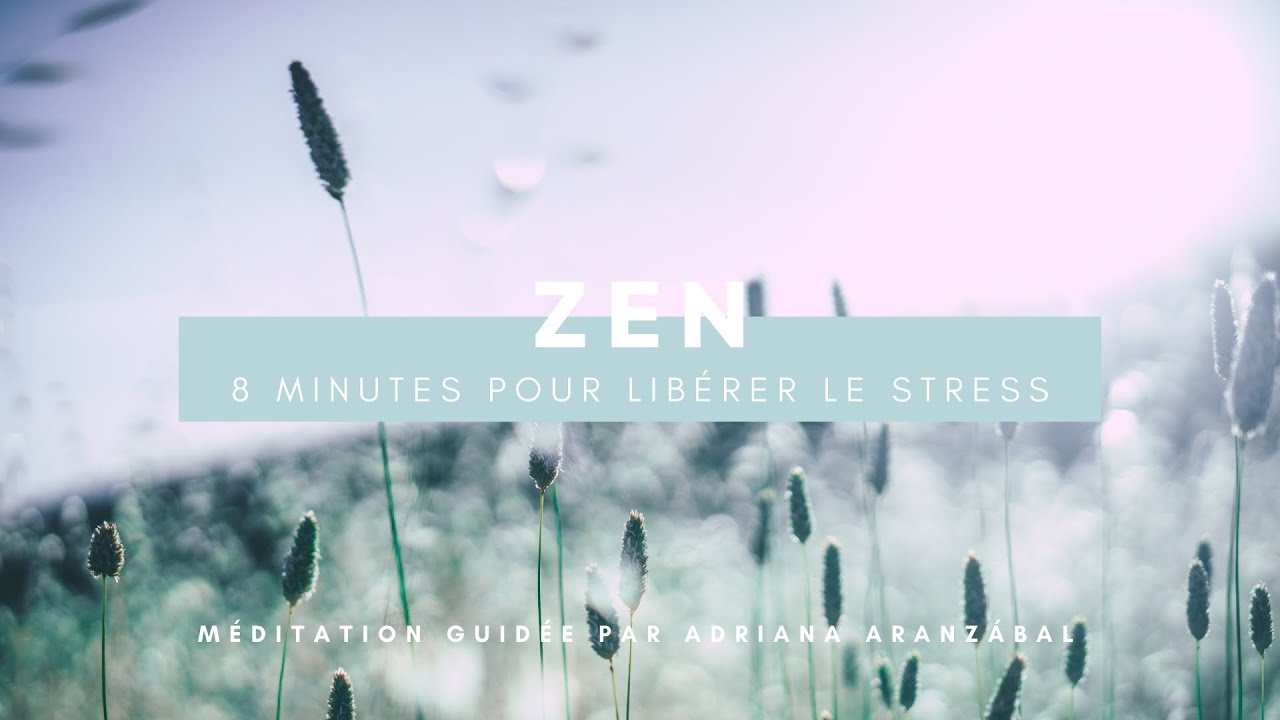 MÉDITATION GUIDÉE ZEN - 8 MINUTES POUR SE LIBÉRER DU STRESS