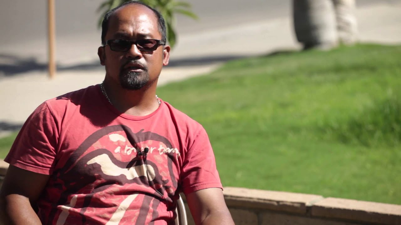 WORKING AMERICAN PIT BULL TERRIERS