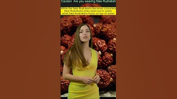fake or real  ऐसे करें असली रुद्राक्ष की पहचान how to identify real Rudraksh #facts #youtubeshorts