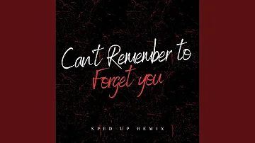 Can't Remember To Forget You (Sped Up)