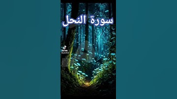 سورة النحل #اكسبلور #دويتو #حالات_واتس #دعاء #quran #تيك_توك #دعاءمستجاب #صباح_الخير #duet #فولو