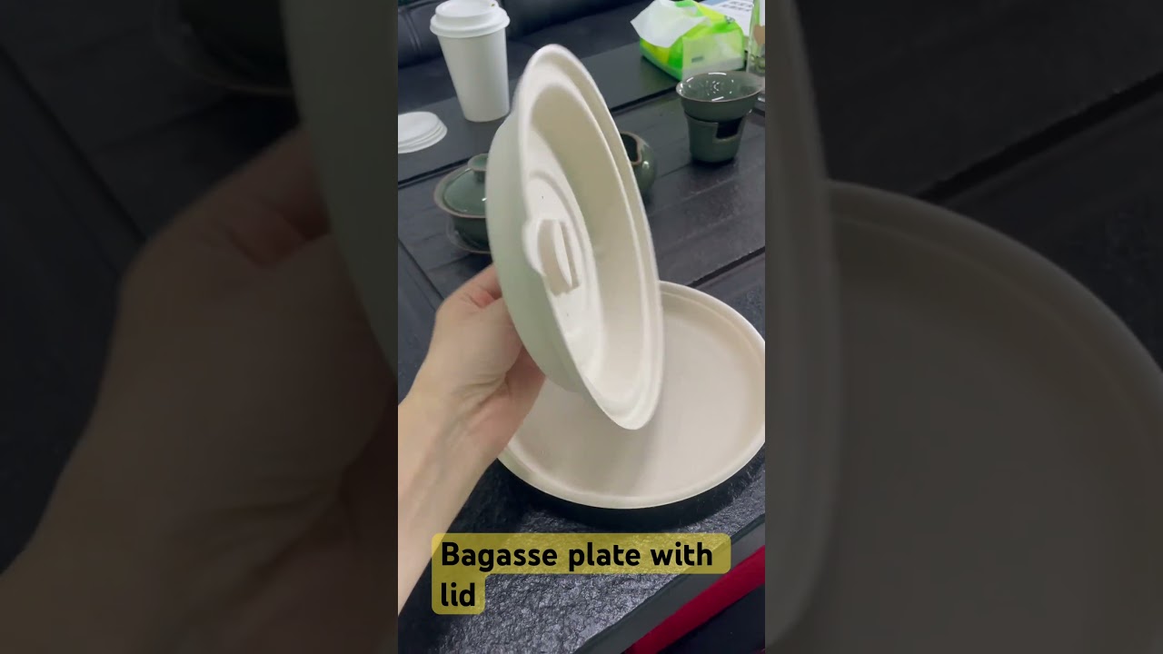 Sugarcane Bagasse plate with lids,eco friendly disposable plates