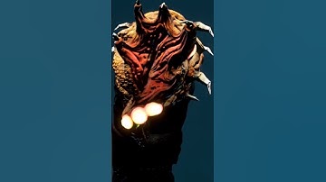 Wait... Are You Seeing What I