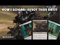 So how good is golgari infect these days  mtg  mtgo  modern