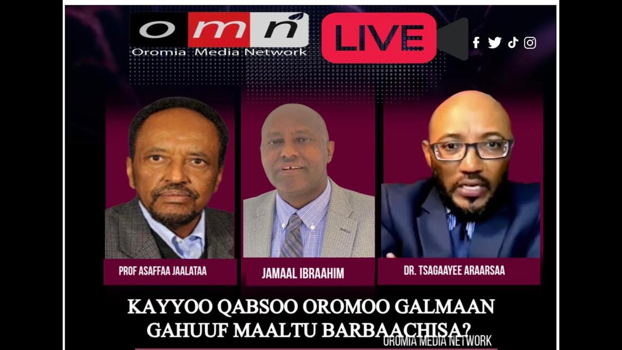 OMN: Kaayoo Qabsoo Oromoo galmaan gahuuf maaltu barbaachisa?