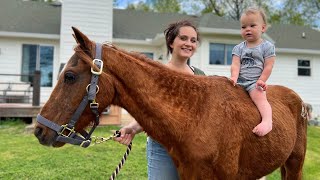 Surprising the Kids With A Pony!