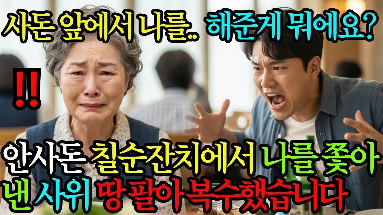 안사돈 칠순잔치 날 사돈 앞에서 나를 내쫓은 사위, 숨겨진 땅 팔고 복수했습니다