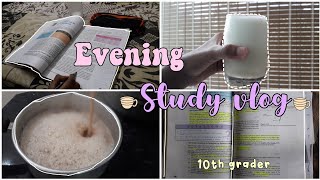 Evening Study Vlog10Th Grader Study Pen