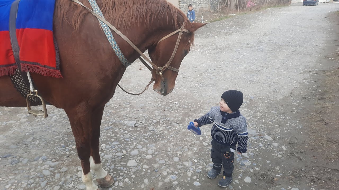 Ина асп мегун гапи одама мегирад Зенита фурухтем.