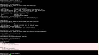 Config Virtual Chassis EX4200