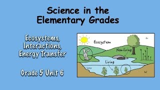 Sci Matters Gr 5 Unit 6 - Ecosystems, Interactions, Energy Flow