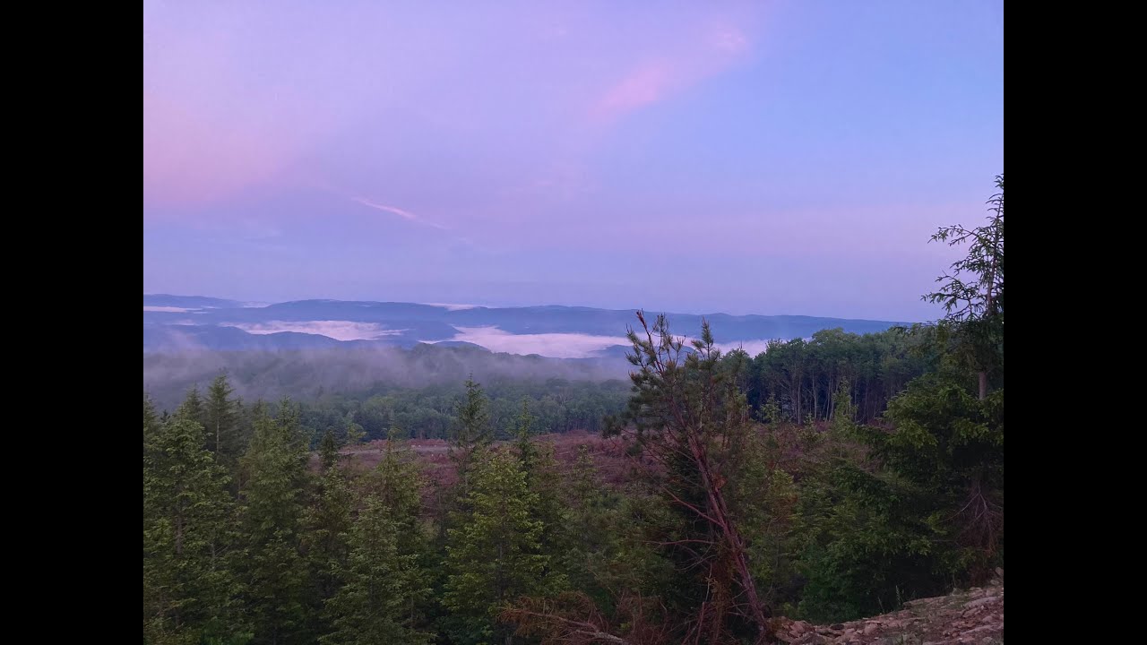 Mower Tract Monongahela National Forest, West Virginia YouTube