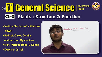 MH Board - Std 7th - General Science Ch 02 - Plants : Structure & Function - Full Chapter Part 2
