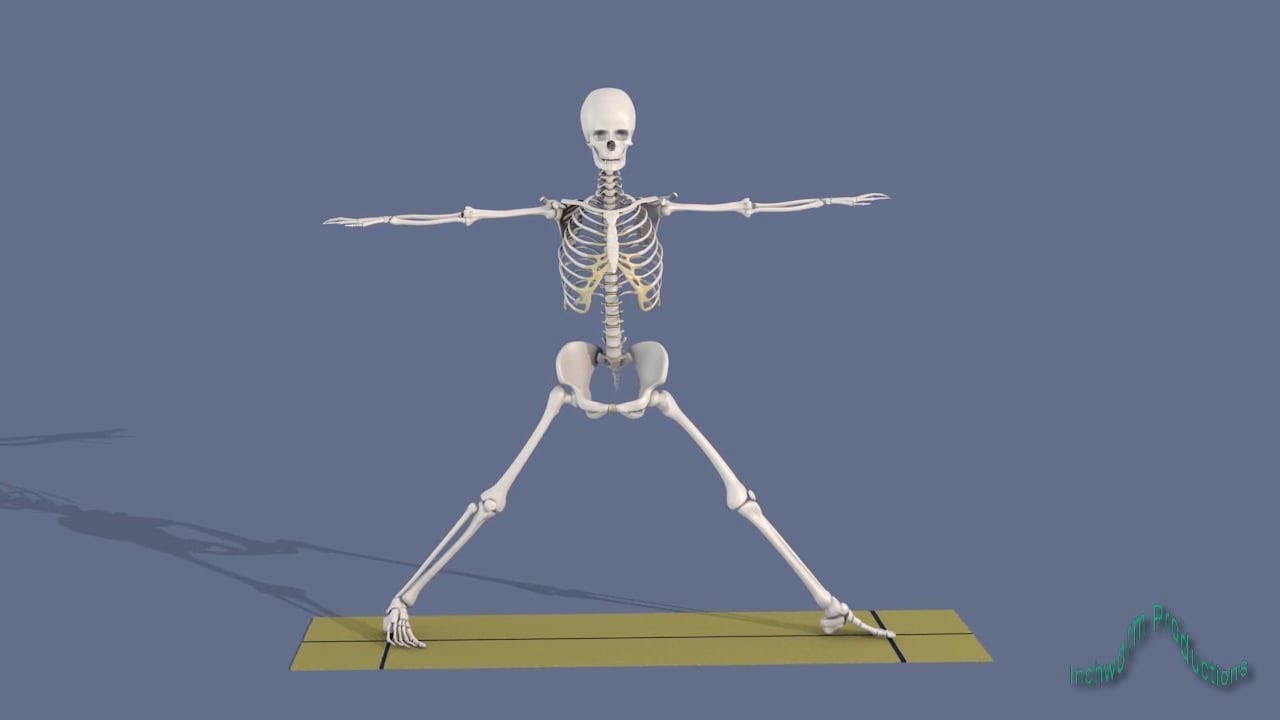 Yoga Poses Parsva Hasta Padasana YouTube