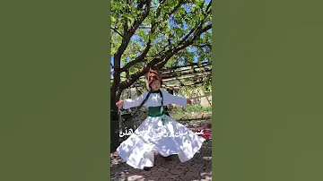 ١٥ أغسطس ٢٠٢٥ 