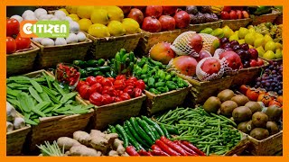 Kenya Hailed For Its Gm Crops Trials