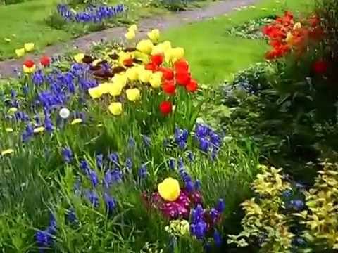 Flowers in our English cottage garden in Spring 2009 set to music (Part