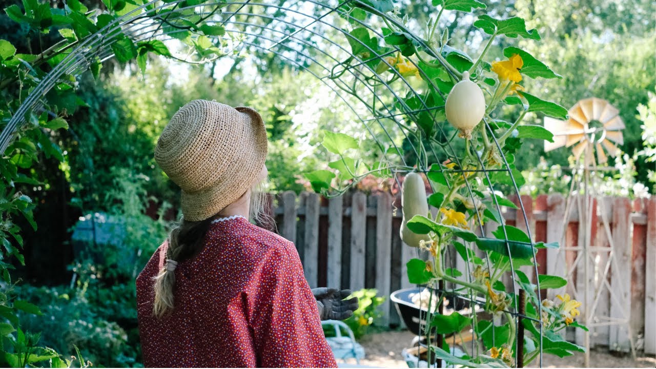 Goodbye Vegan for Good