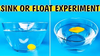Sink Or Float Density Experiment For Kids