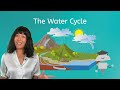 Understanding the Water Cycle