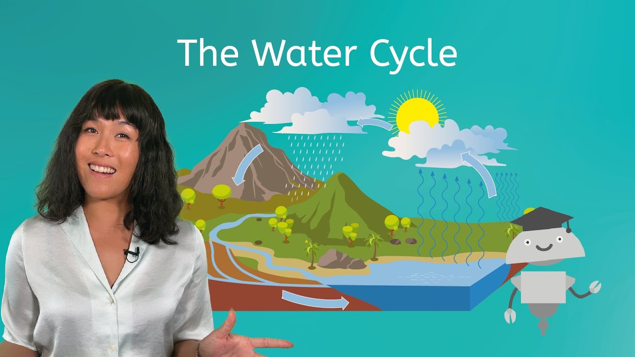 The Water Cycle - The Processes and Ecological Impacts of the Water Cycle