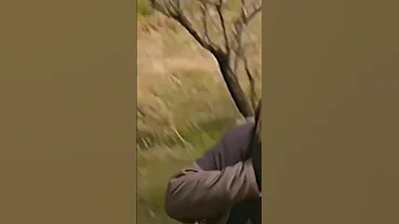 اغنيه لوري لوري الارض طيبه 